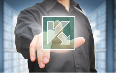 Kaspersky DDoS Protection Data Sheet
